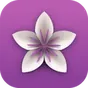 Vellum logo