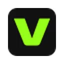 VEED logo